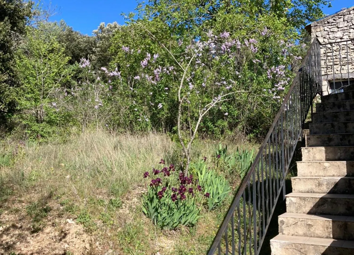 Holiday home Maison Au Colorado Provencal Rustrel France